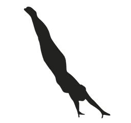Ginástica